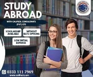 WashU International Internship Program 2026 