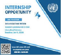 UNDP Washington Internship 2026
