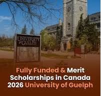 WashU International Internship Program 2026