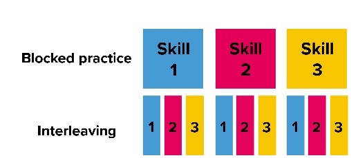 Effective Study Techniques