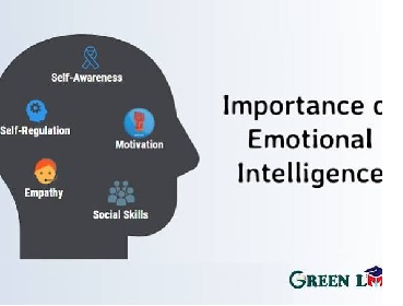 Emotional Intelligence