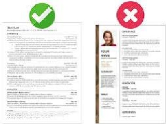 How to Create a Professional CV